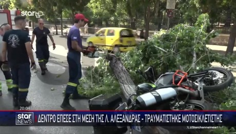 Αλεξάνδρας: Δέντρο Πλάκωσε Μοτοσικλετιστή - Τι Λέει Στο STAR