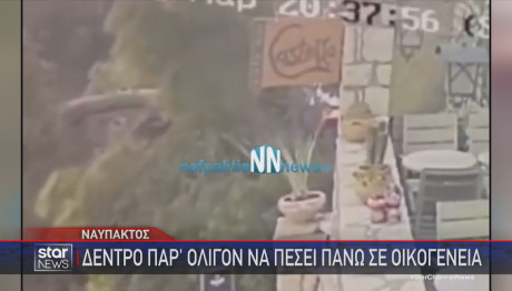πτώση δέντρου στη Ναύπακτο
