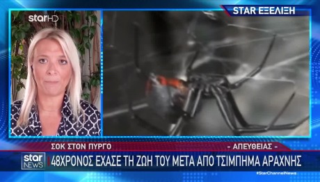 Πύργος: Πέθανε Ο Άνδρας Που Τον Τσίμπησε Δηλητηριώδης Αράχνη