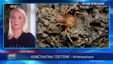 Ηλεία: Από Γάγγραινα Πέθανε Ο Άνδρας Που Τσίμπησε Αράχνη