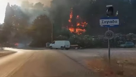 Φωτιά κοντά σε σπίτια στη Σαγιάδα Θεσπρωτίας