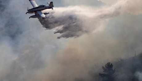 Φωτιά Σε Δασική Έκταση Στη Θεσπρωτία