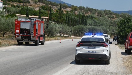 Ωρωπός: Σύλληψη Ηλικιωμένης Για Πρόκληση Πυρκαγιών