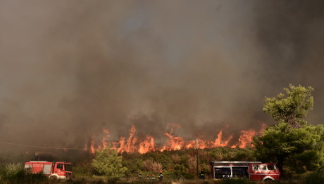 Φωτιά Αττική: Εγκλωβίστηκαν Αστυνομικοί Στον Μαραθώνα