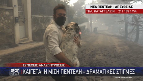 φωτιά Αττική