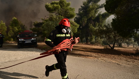 Φωτιά Στο Πήλιο
