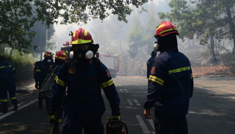 Φωτιά Στην Άνω Επίδαυρο