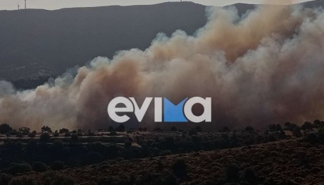 Εύβοια:  Φωτιά