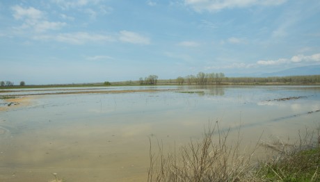 Στρυμόνας: Νεκρός Εντοπίστηκε Ο Αγνοούμενος Ψαράς