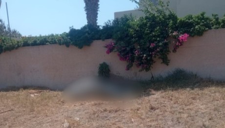 Σαντορίνη: Άλογο νεκρό σε οικόπεδο- Ήταν δεμένο και δεν έφτανε να πιει νερό