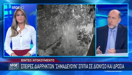 Τρόμος Στον Διόνυσο: Κουκουλοφόροι Μπουκάρουν Σε Σπίτια