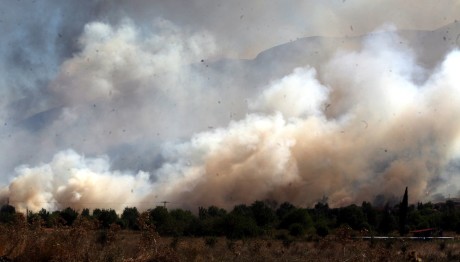 Αρκαδία πυρκαγιά