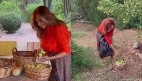 Μιμή Ντενίση