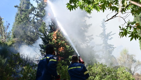 Φωτιά Τώρα Στο Κατράκειο Νίκαιας