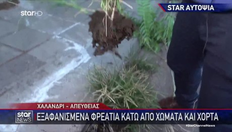 Χαλάνδρι: Φύτρωσαν Δένδρα Σε Ακαθάριστα Φρεάτια
