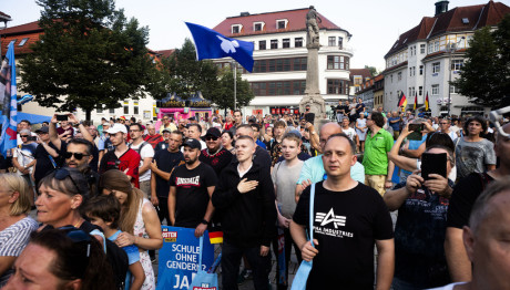 AfD