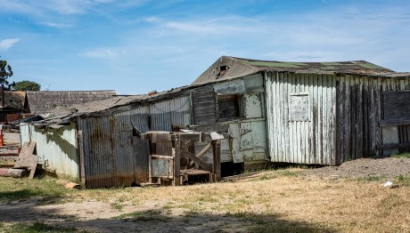 Βόλος: Μένει Σε Κοτέτσι Για Να Μη Βλέπει Σύζυγο Και Κόρη