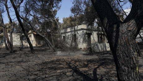Δίκη Μάτι