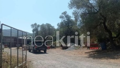 Ρέθυμνο: Τα Νεότερα Για Την Υγεία Του Κτηνοτρόφου