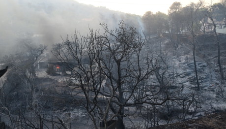 Copernicus: 33% Μειωμένες Οι Καμένες Εκτάσεις Στην Ελλάδα
