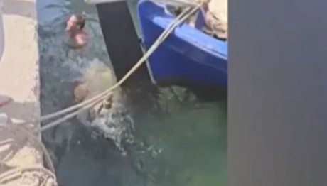 Καρέτα καρέτα επιτέθηκε σε πρωταγωνιστή… ερωτικών ταινιών