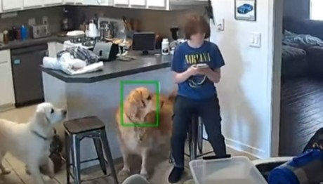 ΗΠΑ: Ανήλικη Δολοφόνησε Τη Μητέρα Της Και Ήταν Ατάραχη