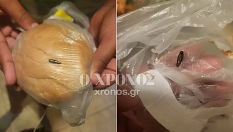 Κομοτηνή: Μαθήτρια Εντόπισε Κατσαρίδα Σε Σχολικό Γεύμα