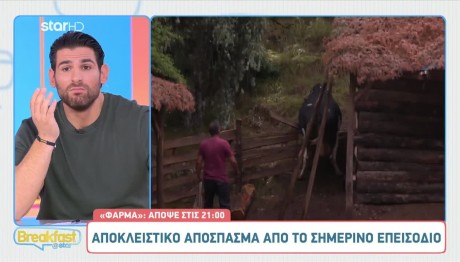 Φάρμα: Μία Αγελάδα Πηδάει Τον Φράχτη Και Το Σκάει!