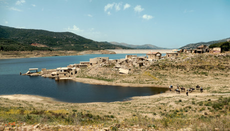 Σφενδύλι - Κρήτη