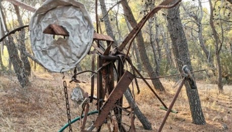 Υπαίθρια Έκθεση Γλυπτών στο Δάσος