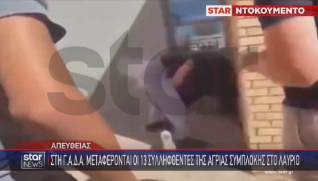 Λαύριο: Βίντεο Ντοκουμέντο Από Το Άγριο Ξύλων Μαθητών