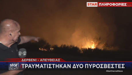 Βαγγέλης Γκούμας πυρκαγιά