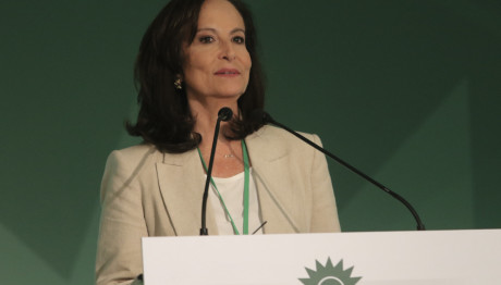 Εκλογές ΠΑΣΟΚ: Το Βιογραφικό Της Άννας Διαμαντοπούλου