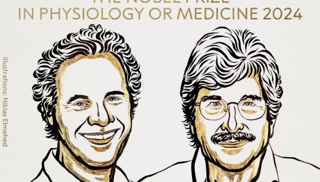 Νόμπελ Ιατρικής: Στους Βίκτορ Άμπρος και Γκάρι Ρούβκουν