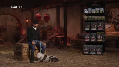 Φάρμα: Ποιος Έχει Ένα Ζεστό Σπίτι Για Τον Λίο;