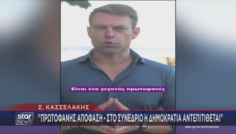 Στέφανος Κασσελάκης