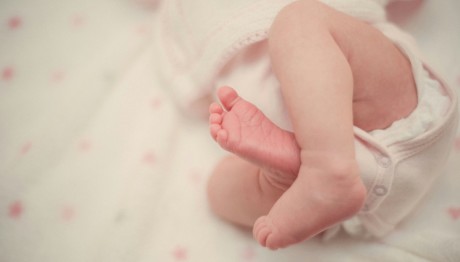 Αμαλιάδα: Τι Δείχνουν Έως Τώρα Οι Έρευνες Της Αστυνομίας