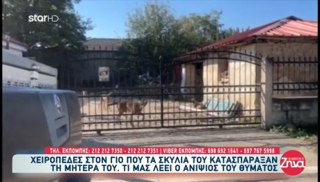 Λάρισα: Η Απόφαση Για Τα Σκυλιά Που Κατασπάραξαν Την 70χρονη