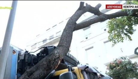 Πατησίων: Φορτηγό Έπεσε Πάνω Σε Δέντρο