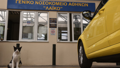 Πρώτη Μεταμόσχευση Ήπατος Μειωμένου Μεγέθους Στην Ελλάδα