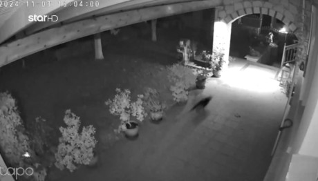 Σεισμός Χαλκιδική: Βίντεο Από Το Χτύπημα Του Εγκέλαδου