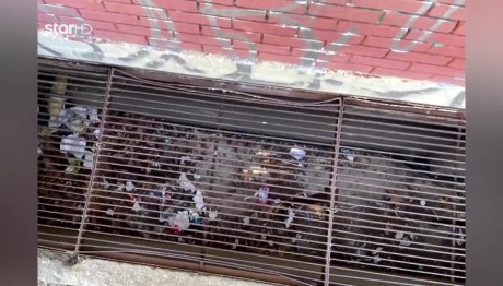 Ν. Ιωνία: Ξεσπά Ο Πατέρας του 12χρονου Που Έριξαν Σε Φρεάτιο