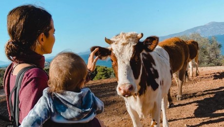 Εριέττα Κούρκουλου