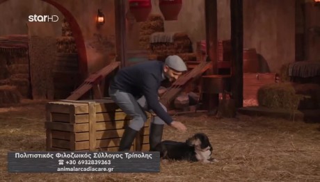 Φάρμα: Η Νόβα ψάχνει σπίτι