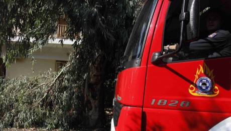 πτώση δέντρου