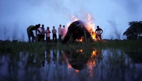 Ινδία καύση νεκρού
