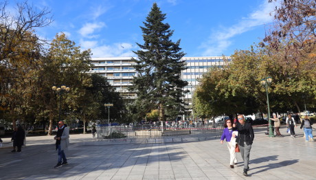 Στις 28/11/24 Η Φωταγώγηση Του Δέντρου