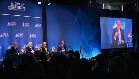 Νίκος Δένδιας IDU