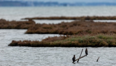 Σορός 62χρονης στο Φράγμα Καλοχωρίου- Δεν αποκλείεται εγκληματική ενέργεια