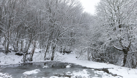 Καιρός Βόρειου Ρεύματος Φέρνει Κρύο Και Χιόνια